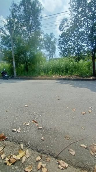 Đất nền khu tái định cư Đặng Huỳnh, Cần Giuộc, Long An 90m² - Đầu tư sinh lời ngay!