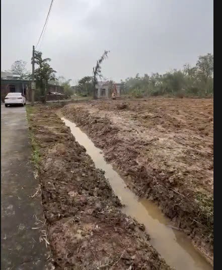 Đất Cẩm Hưng 300m² giá 300 triệu - Cơ hội đầu tư hấp dẫn!