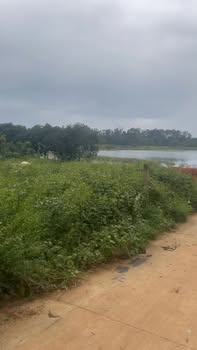 Đất nền Ea Hồ 300m² giá 300 triệu - Đầu tư sinh lời cao!