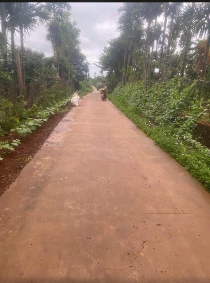 Đất nền Phú Xuân 600m² giá 1 tỷ - Sổ hồng chính chủ, bám đường bê tông!