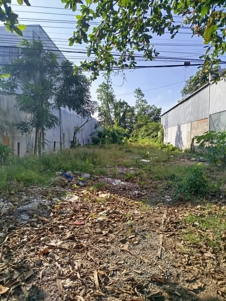 Đất mặt tiền Quốc lộ 60, phường 8, TP Trà Vinh 1080m² - Cơ hội đầu tư tuyệt vời!