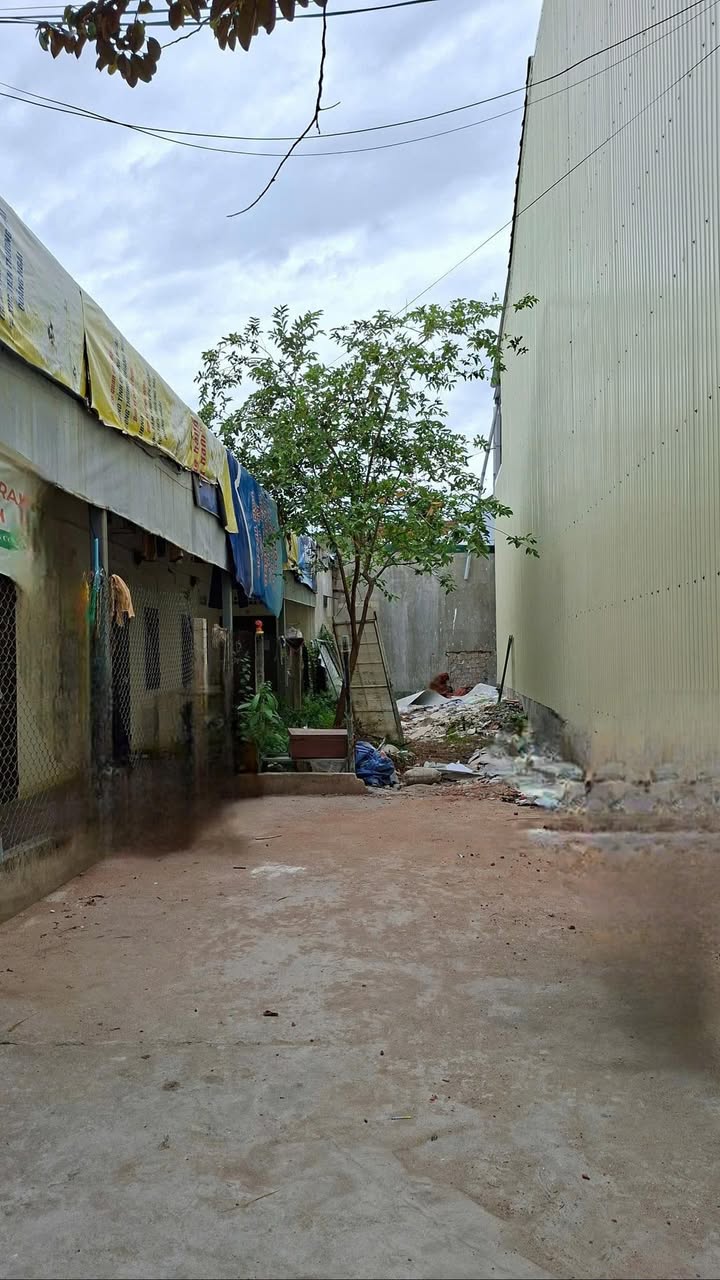 Đất nền hẻm ô tô Trần Hưng Đạo, Cẩm Thành, 73m² giá 1.29 tỷ - Đầu tư sinh lời!