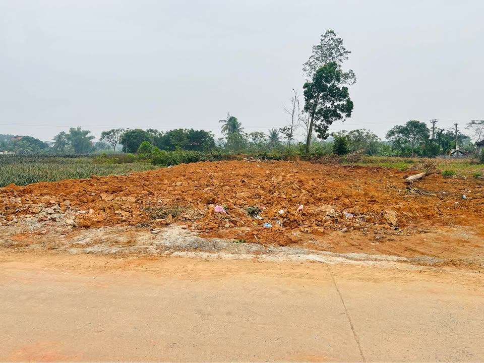 Đất nền Thọ Lập Thọ Xuân 255m² giá 4 tỷ - Đường rộng ô tô tránh nhau thoải mái!