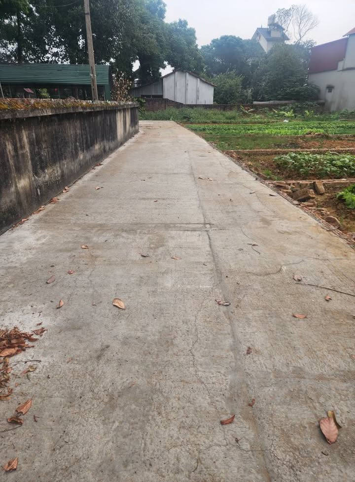 Đất thổ cư thôn Chè Ninh Xá 70m² giá 1 tỷ - Ô tô đỗ cửa, tiện ích đầy đủ!