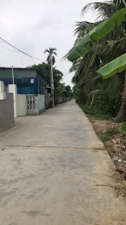 Đất nền Mậu Công, Quang Trung, Tứ Kỳ 100m² giá 1 tỷ - Sẵn sàng đầu tư!