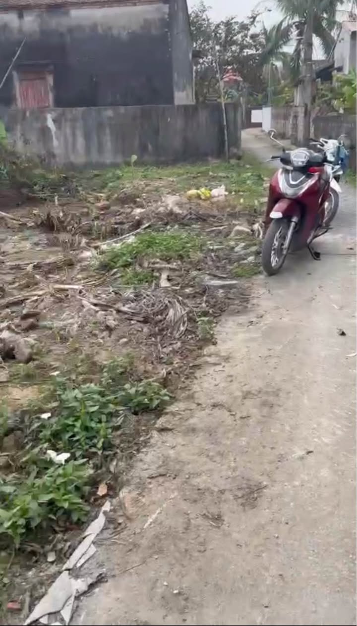 Đất nền mặt tiền 15m tại xã Hoa Lộc, Thanh Hóa - Diện tích 427m² giá chỉ 500 triệu!