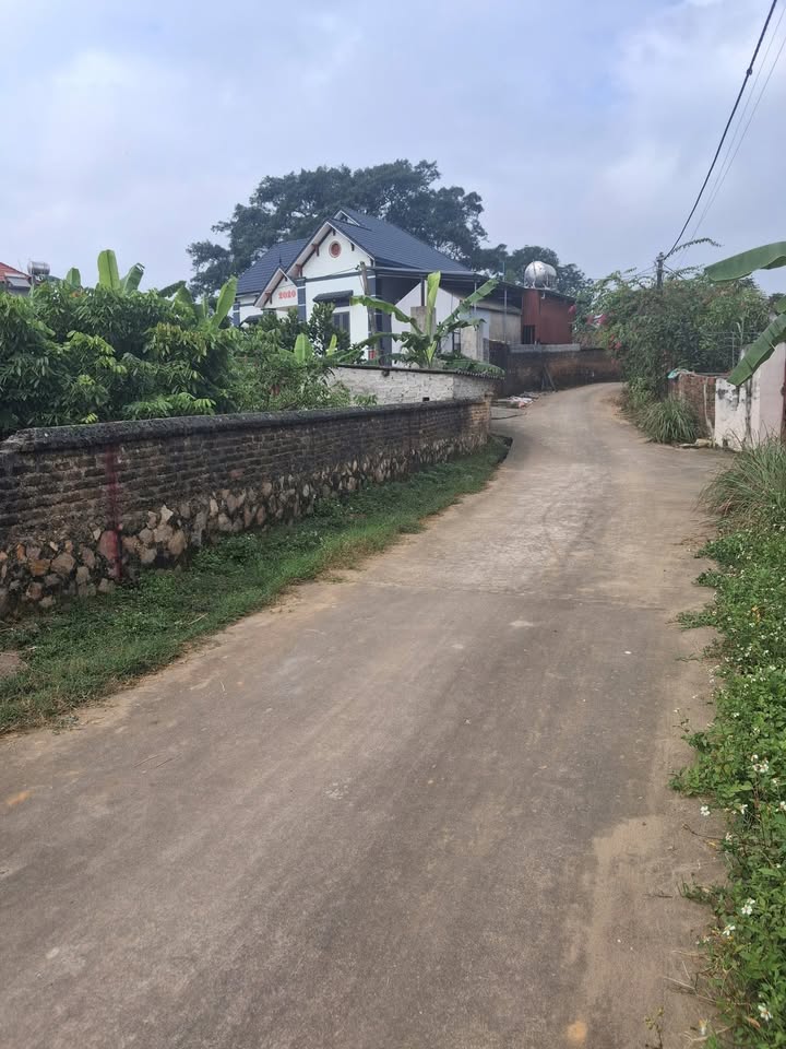 Đất thổ cư Bắc Lũng, Lục Nam 206m² giá chỉ 1,3 tỷ - Cơ hội đầu tư tuyệt vời!