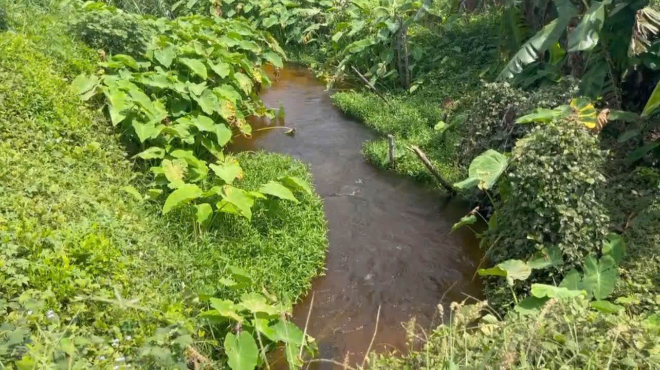 Đất nền 4200m² xã Hàm Cường, giá 750 triệu - Đầu tư sinh lời cao!