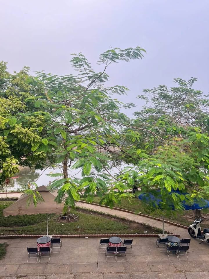 Đất thổ cư Phan Đình Phùng, Thái Nguyên 216m² chỉ 5.9 tỷ - Vị trí vàng cho đầu tư!