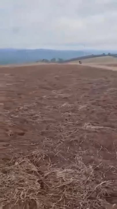 Đất nền đẹp tại xã Krông Búk, Đắk Lắk 40.000m² - Cơ hội đầu tư lớn!