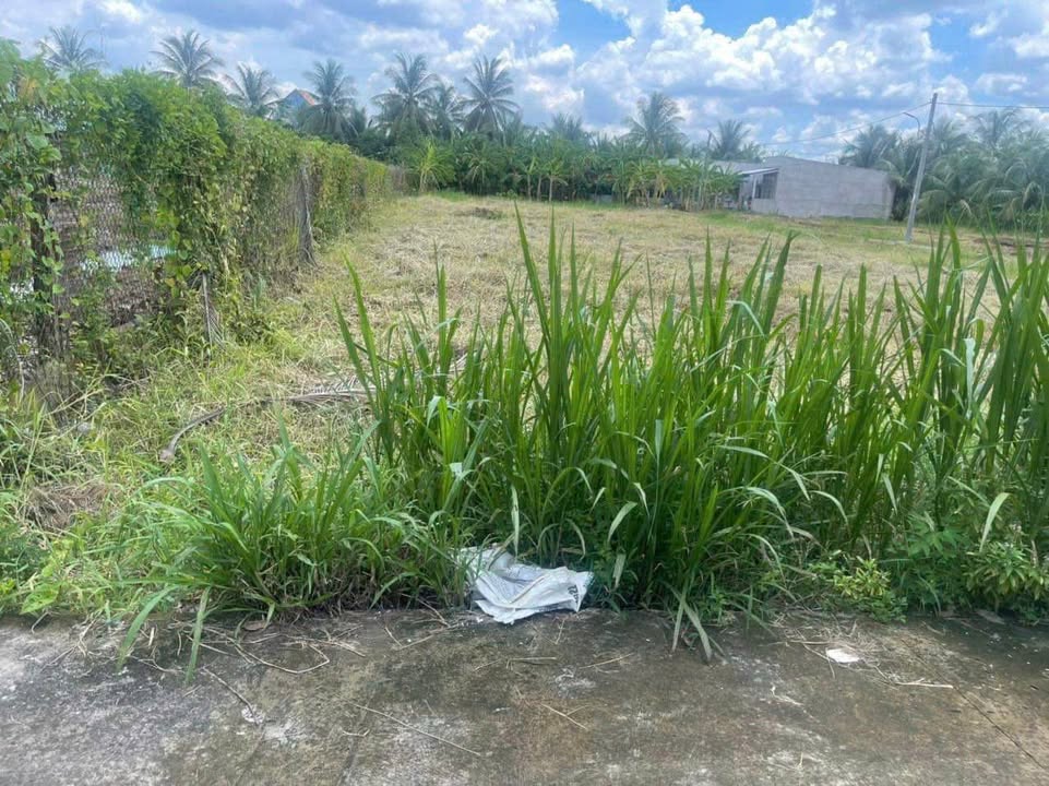 Đất nền 110m² tại Tân Hương, Châu Thành - Giá chỉ 400 triệu - Sổ hồng đầy đủ!