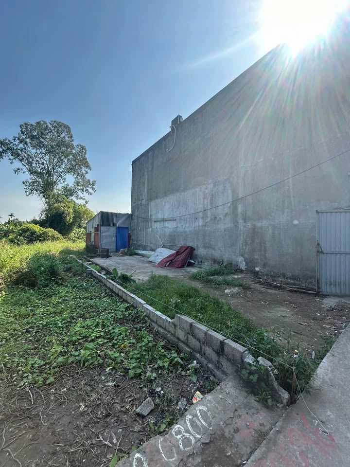 Đất Hồng Thái An Dương 65m² chỉ 1.2 tỷ - Đường vào thuận lợi, không lỗi lầm!