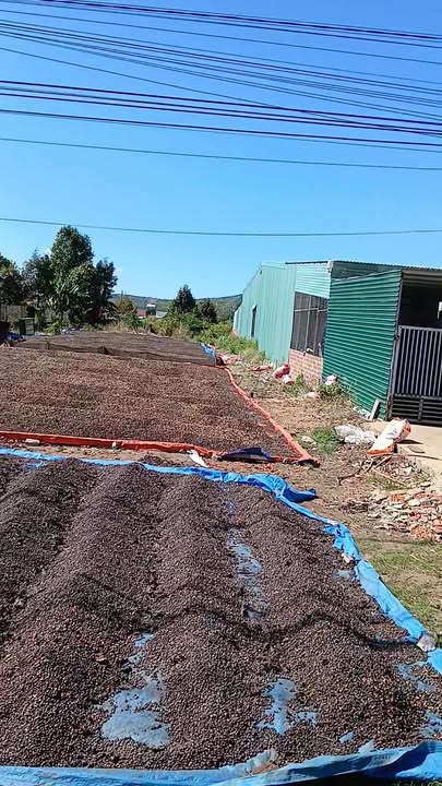 Đất thổ cư 480m² tại Thôn 1, xã Diên Bình, huyện Đắk Tô - Giá chỉ 900 triệu VND!