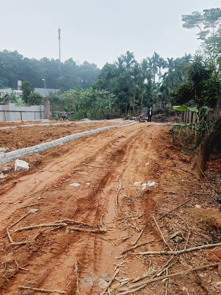 Nhà riêng Đinh Tiên Hoàng, Yên Bái 175m² giá 1 tỷ - Nhanh tay sở hữu!