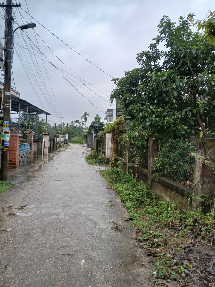 Đất nền đầu tư tại Đông Hồ, Liên Chiểu 125m² - Giá thỏa thuận hấp dẫn!