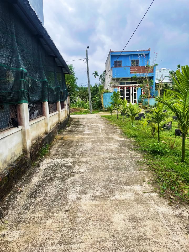 Đất vườn Hòa Phú, Hòa Vang 293m² chỉ 1 tỷ - Đầu tư sinh lời ngay!