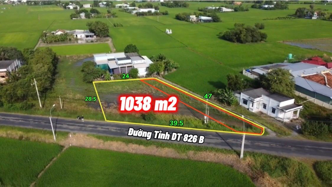 Đất nền 1038m² Đường Tỉnh DT826B giá 5.1 tỷ - Thích hợp làm nhà vườn hoặc kho xưởng!