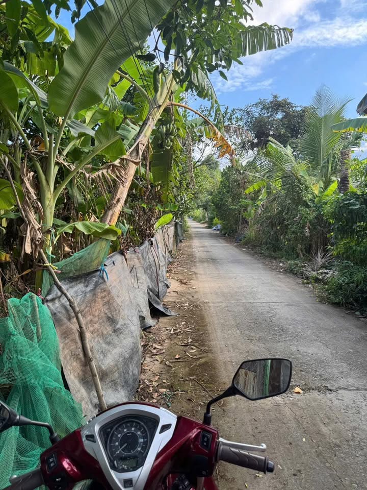 Đất nền 400m² mặt tiền đường Nguyễn Văn Chính, Cai Lậy - Giá 800 triệu, thương lượng!