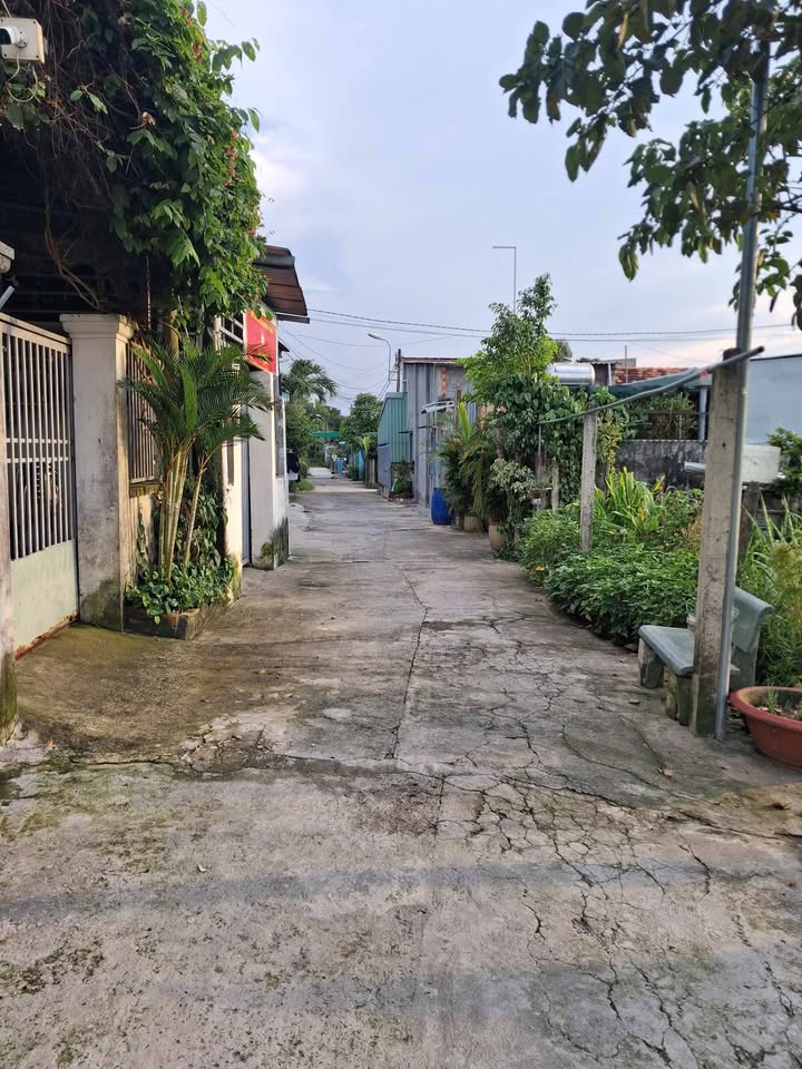 Đất nền Tân Thông Hội 50m² giá 290 triệu - Mặt tiền đường bê tông