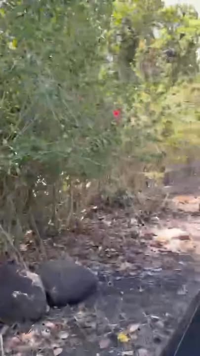 Đất nền Duy Tân Long Khánh 6 sào giá 4.7 tỷ - Đầu tư sinh lời ngay!