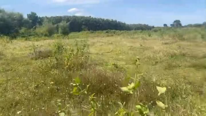 Đất nền 50.000m² ấp 6 Lộc Hưng giá 580 triệu - Sổ đỏ chính chủ, đường riêng 4m