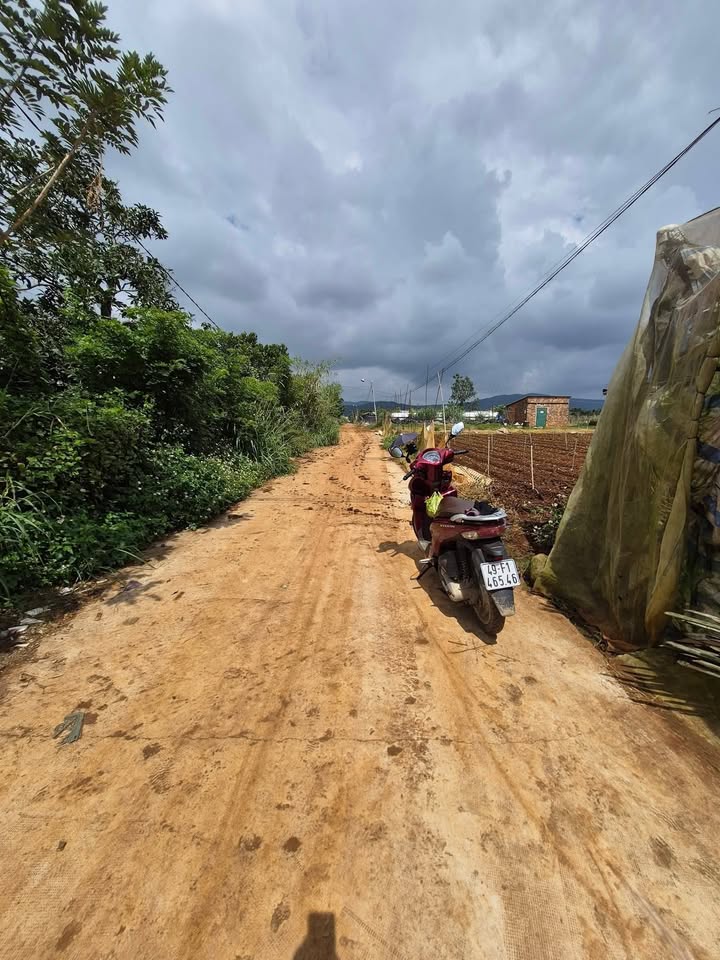 Đất sào Suối Thông Đạ Ròn 2000m² giá 2.65 tỷ - Khu dân cư sẵn có