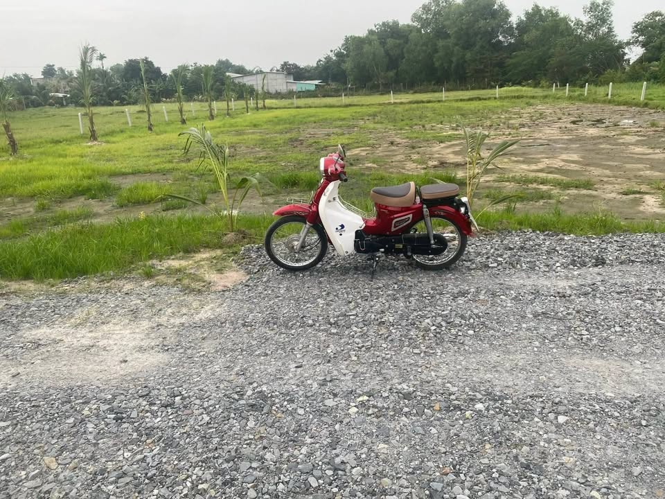 Đất vườn 500m² An Ninh Đông, Đức Hòa giá 550 triệu - Cơ hội đầu tư tuyệt vời!