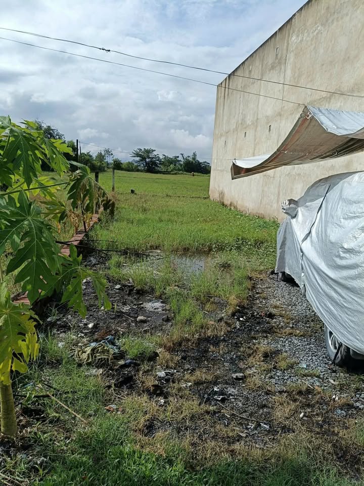 Đất nền thổ cư xã Mỹ Hạnh Đức Hòa 106m² giá thỏa thuận - Cơ hội đầu tư tuyệt vời!