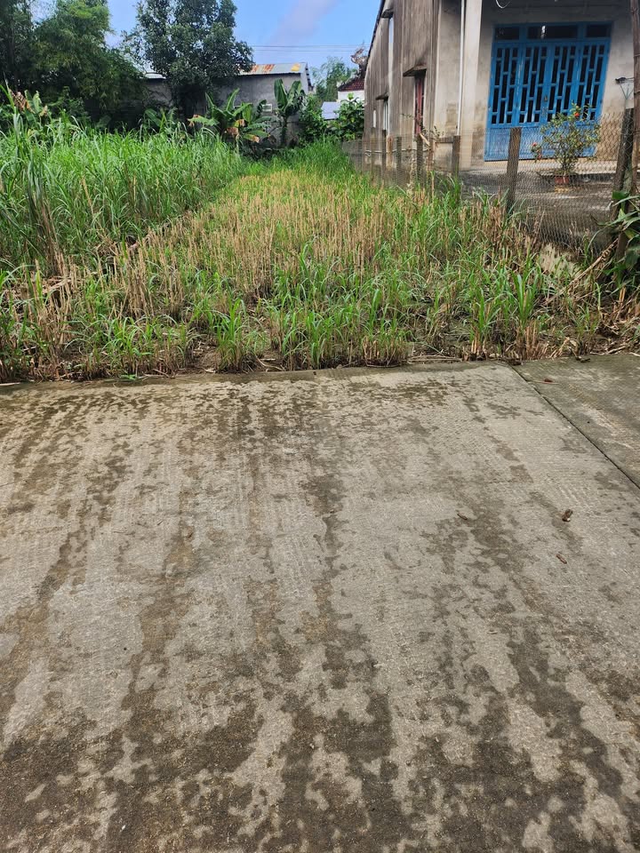 Đất nền Điện Quang, Quảng Nam 190m² giá chỉ 500 triệu - Cơ hội đầu tư tuyệt vời!