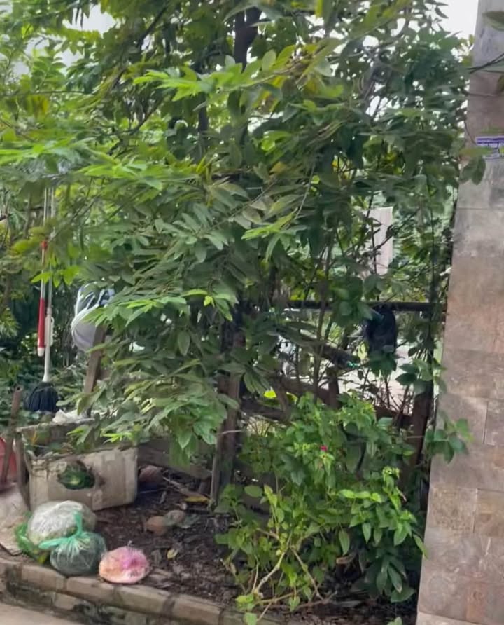 Đất nền Cái Tắt, An Đồng, An Dương 100m² giá 3.6 tỷ - Cơ hội đầu tư tuyệt vời!