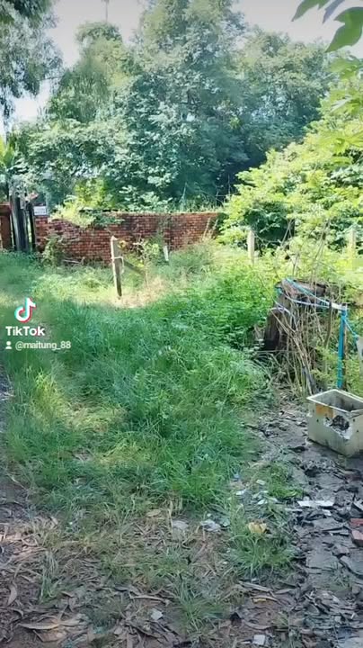 Nhà Hòa Phú, Củ Chi 88m² giá 1.35 tỷ - Sổ hồng chính chủ, xe hơi vào tận nhà!