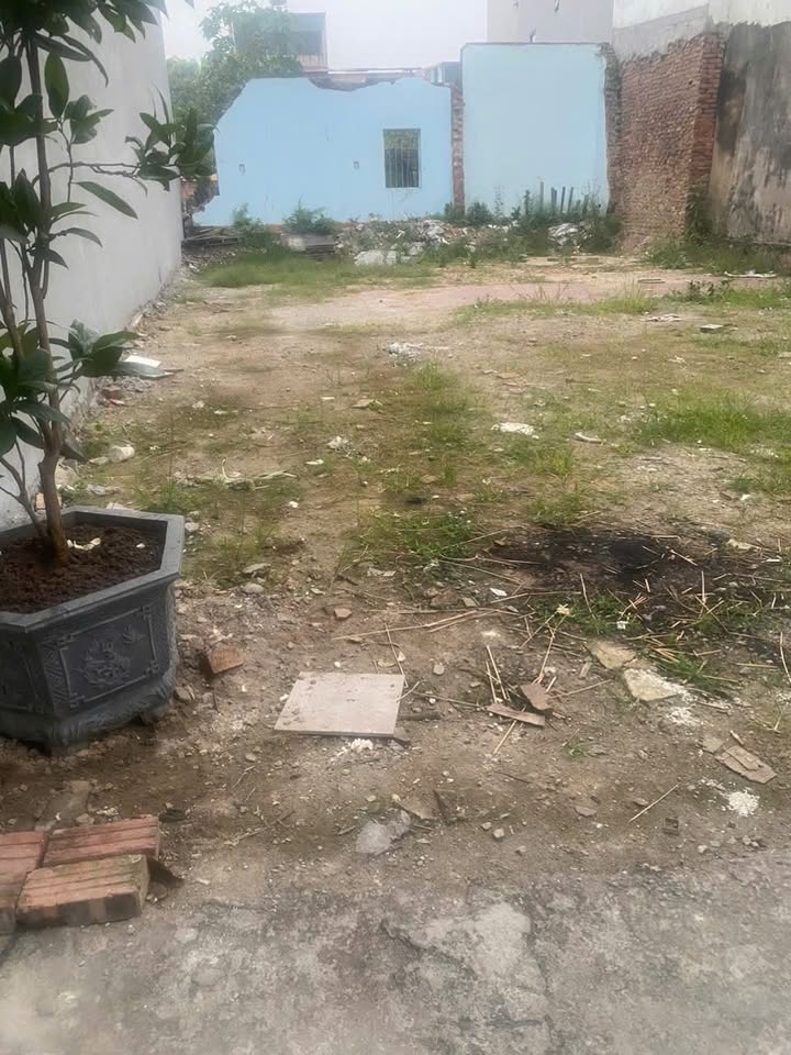 Đất nền Đại Phúc Bắc Ninh 81m² giá thỏa thuận - Cơ hội đầu tư tuyệt vời!