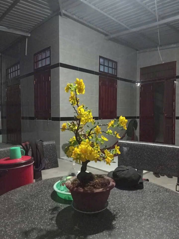 Nhà cấp 4 tại Hàm Hiệp 87m² giá 900 triệu - Sẵn sàng vào ở ngay!