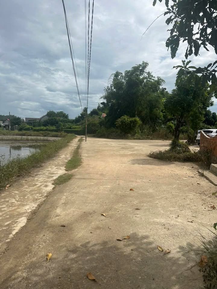 Đất nền Tổ dân phố 18, Ninh Hiệp 1220m² giá 6.1 tỷ - Cơ hội đầu tư hấp dẫn!