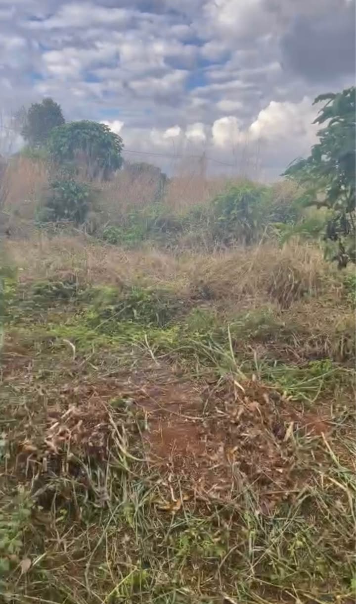 Đất nền Phú Lộc 192m² giá chỉ 300 triệu - Sổ đỏ chính chủ!