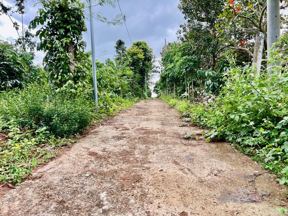 Lô đất thổ cư Hòa Phú 240m² giá 2.088 tỷ - View suối tuyệt đẹp!