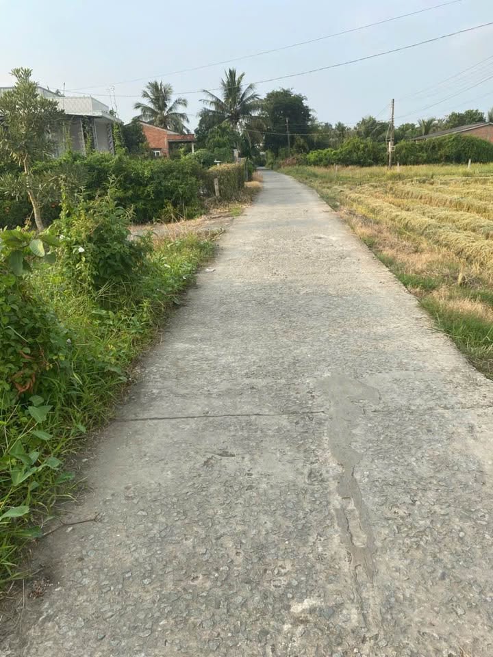 Đất vườn 913m² tại Bình Thạnh, Thủ Thừa - Sổ đỏ chính chủ, giá 1.6 tỷ!