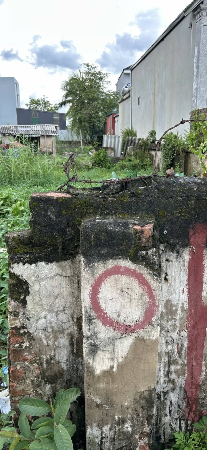 Đất Tân Hưng Vĩnh Bảo 188m² - Mặt tiền 5m, Gần trường cấp 1 và chợ!