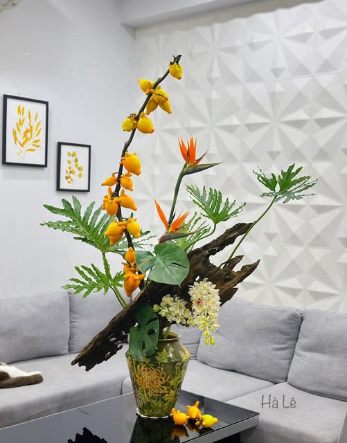 Đất nền Cẩm Bình, Cẩm Thủy 1600m² giá 800 triệu - Cơ hội đầu tư tuyệt vời!