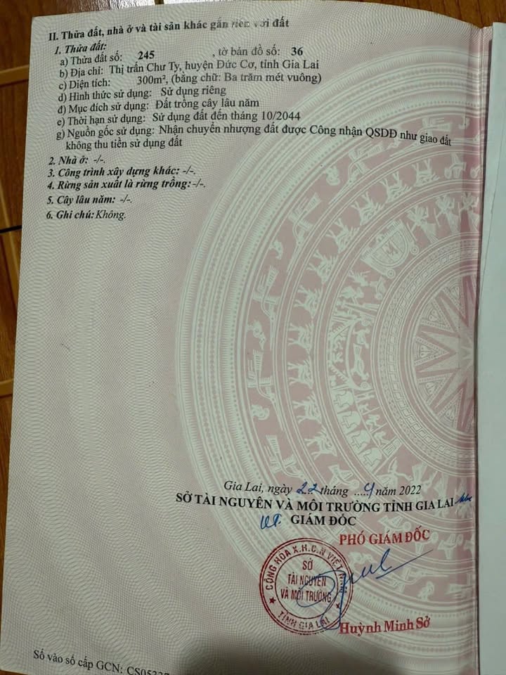 Lô đất 300m² tại Chư Ty, Đức Cơ, Gia Lai - Giá chỉ 500 triệu, Sổ hồng sẵn!