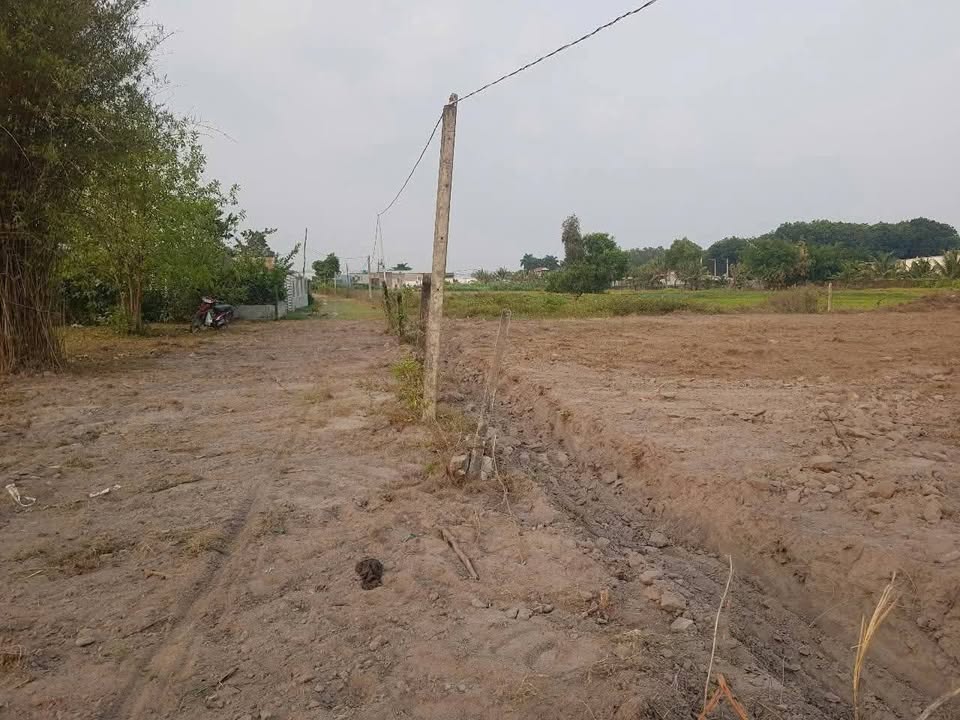 Đất vườn 1000m² xã Tân Thông Hội, Củ Chi giá 1.6 tỷ - Cơ hội đầu tư tuyệt vời!