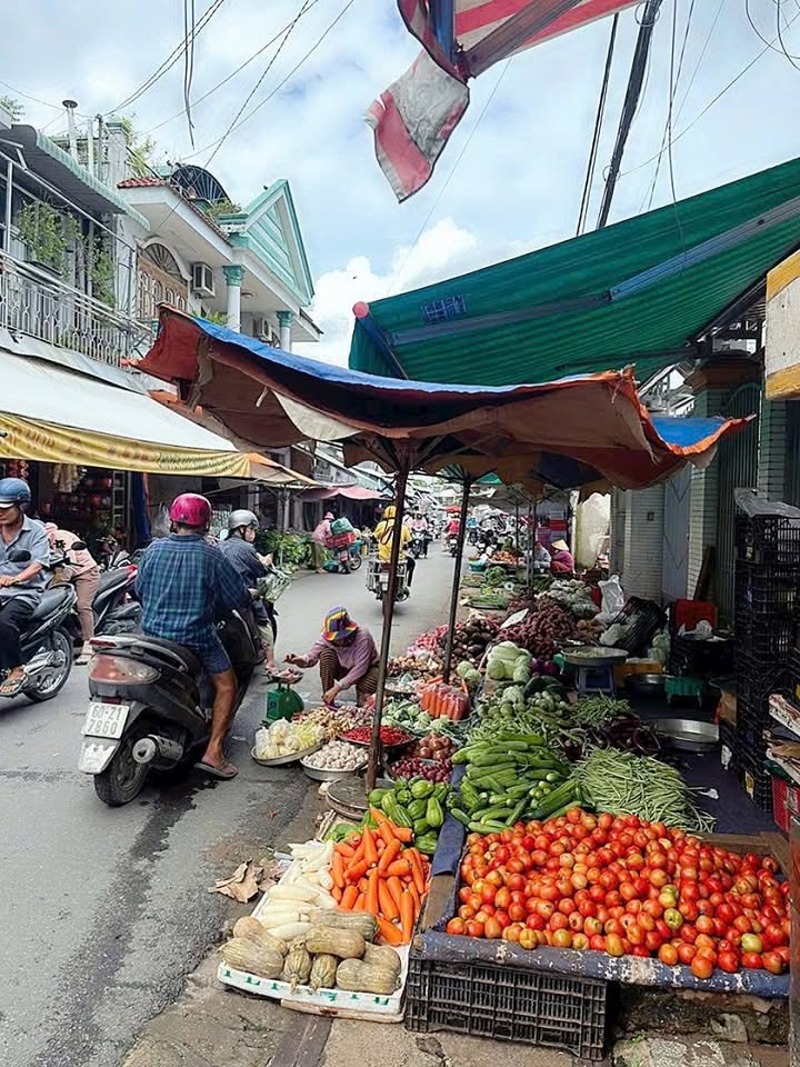 Nhà mặt tiền chợ Việt Kiều Tân Thông Hội 174m² giá 6.2 tỷ - Kinh doanh sầm uất!