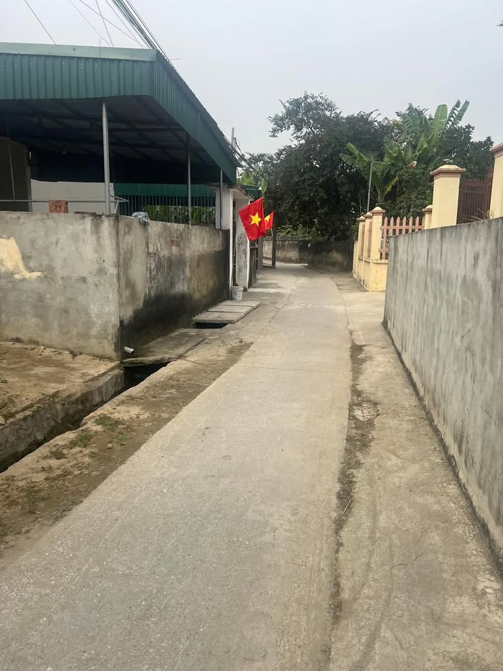 Nhà bán tại phường Quảng Cát, Thanh Hóa - Diện tích 190m² giá chỉ 2.28 tỷ!