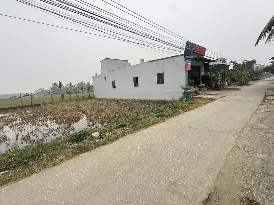 Đất thổ cư Hoàng Sơn, Nông Cống 150m² - Giá thỏa thuận hấp dẫn!