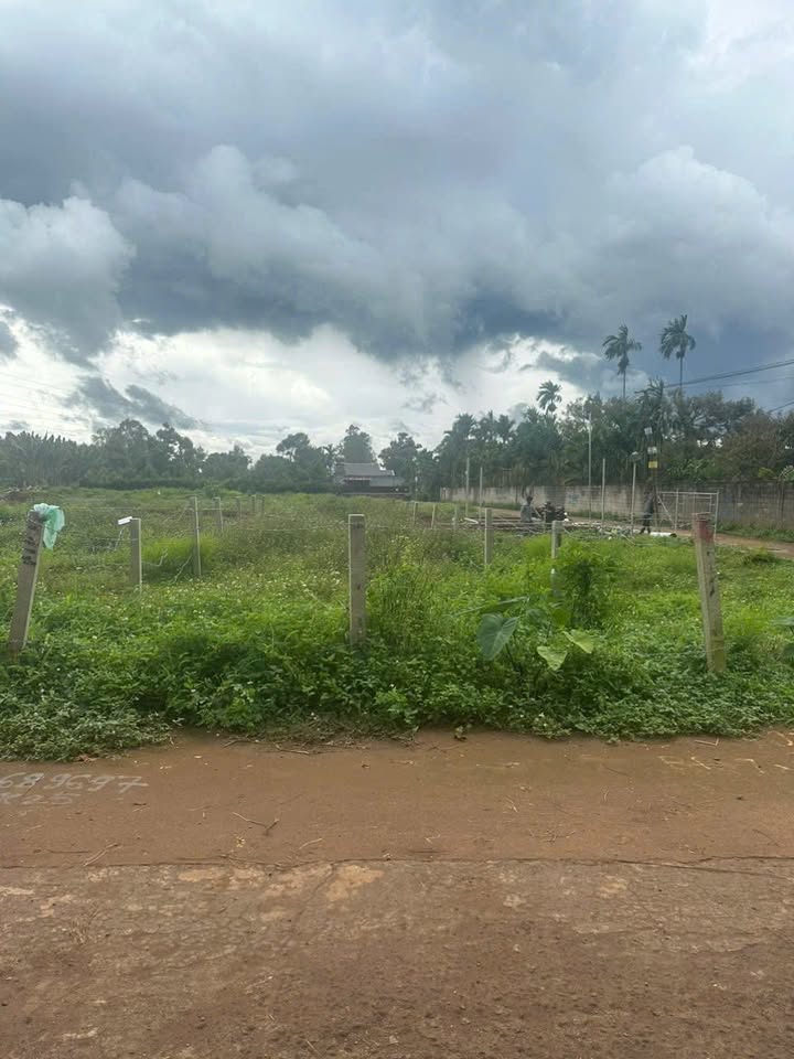 Đất mặt tiền KA12 Tân An 125m² giá 1.5 tỷ - Cơ hội đầu tư hấp dẫn!