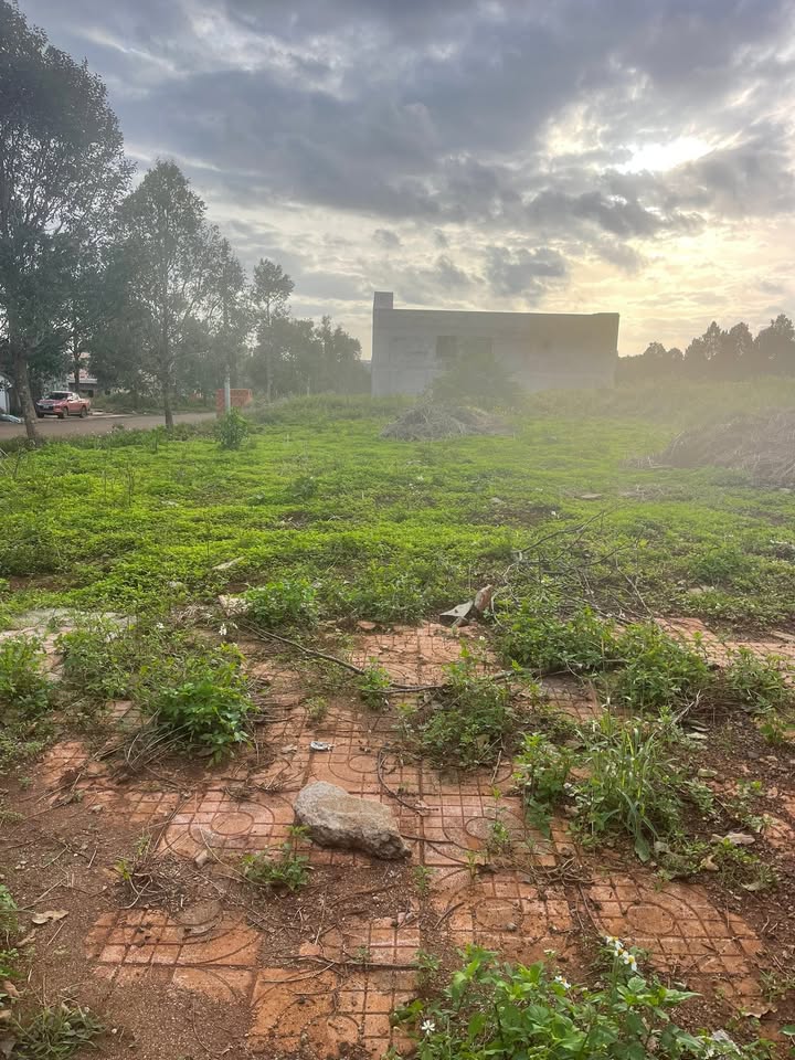 Đất thổ cư Khu đô thị Buôn Hồ Palama 300m² - Góc 2 mặt tiền, giá thỏa thuận!