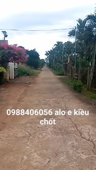 Đất nền Tân Lập Buôn Ma Thuột 168m² giá chỉ 775 triệu - Cơ hội đầu tư vàng!