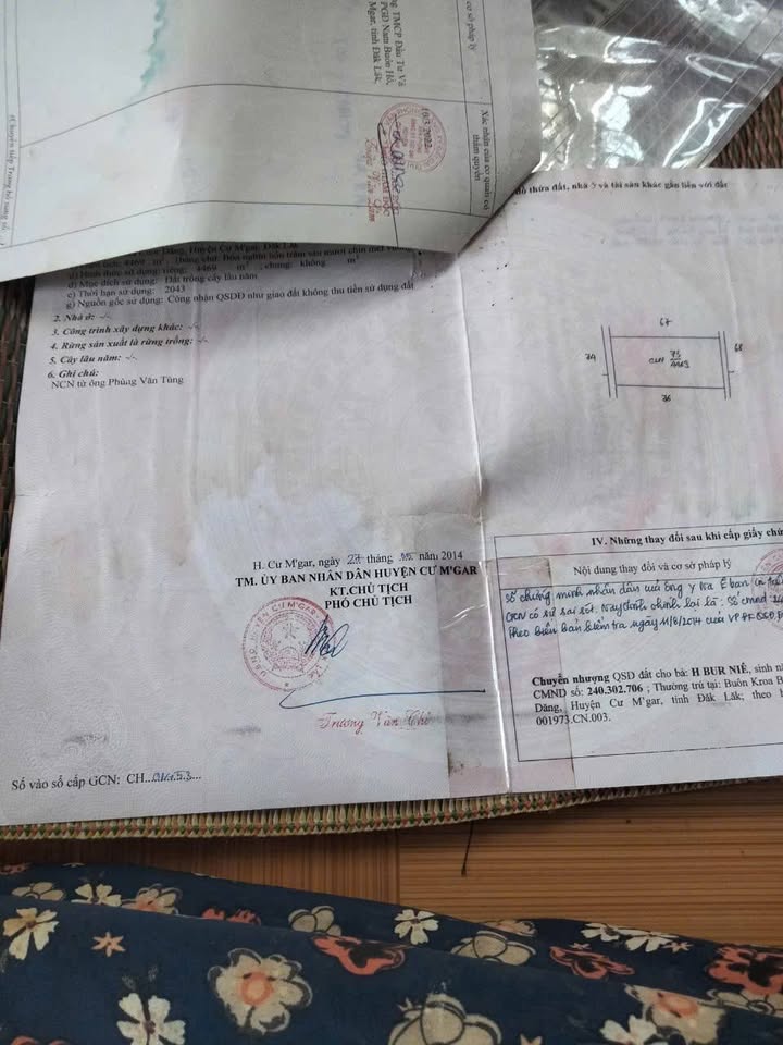 Đất nền 4,5 sào tại xã Cuôr Đăng, Đắk Lắk chỉ 3,7 tỷ - Đầu tư sinh lời hấp dẫn!