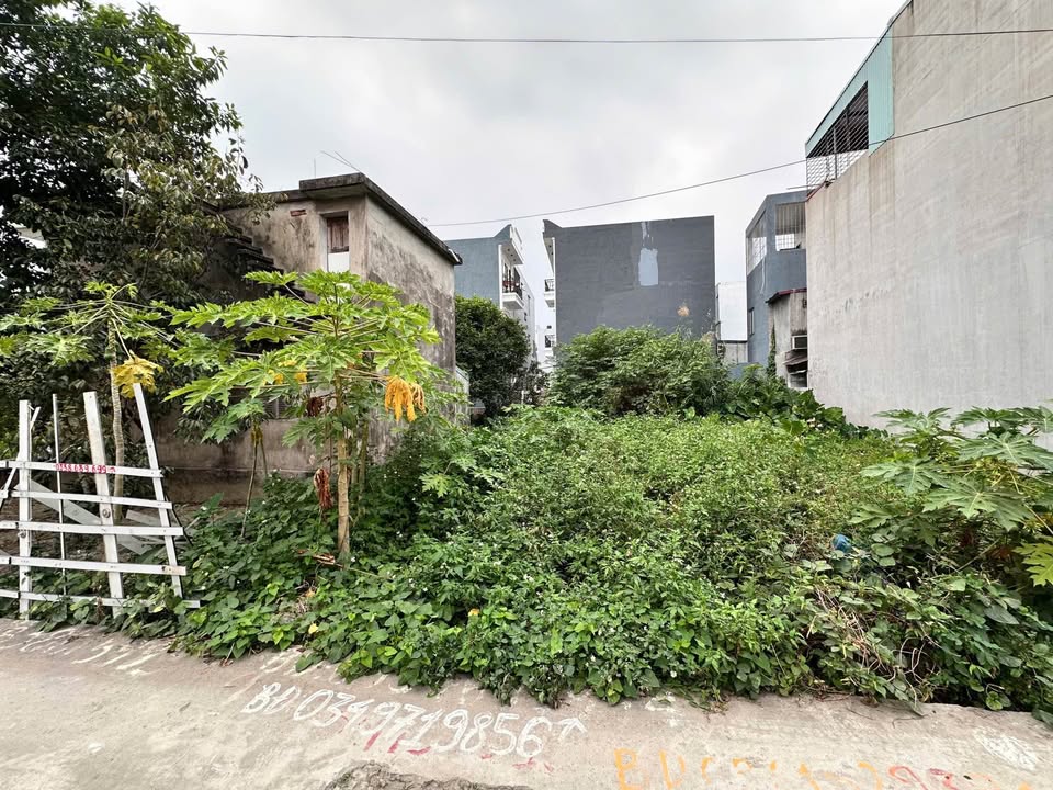 Đất nền An Đồng Hải Phòng 100m² giá 2.4 tỷ - Ngõ ô tô, đông dân cư!