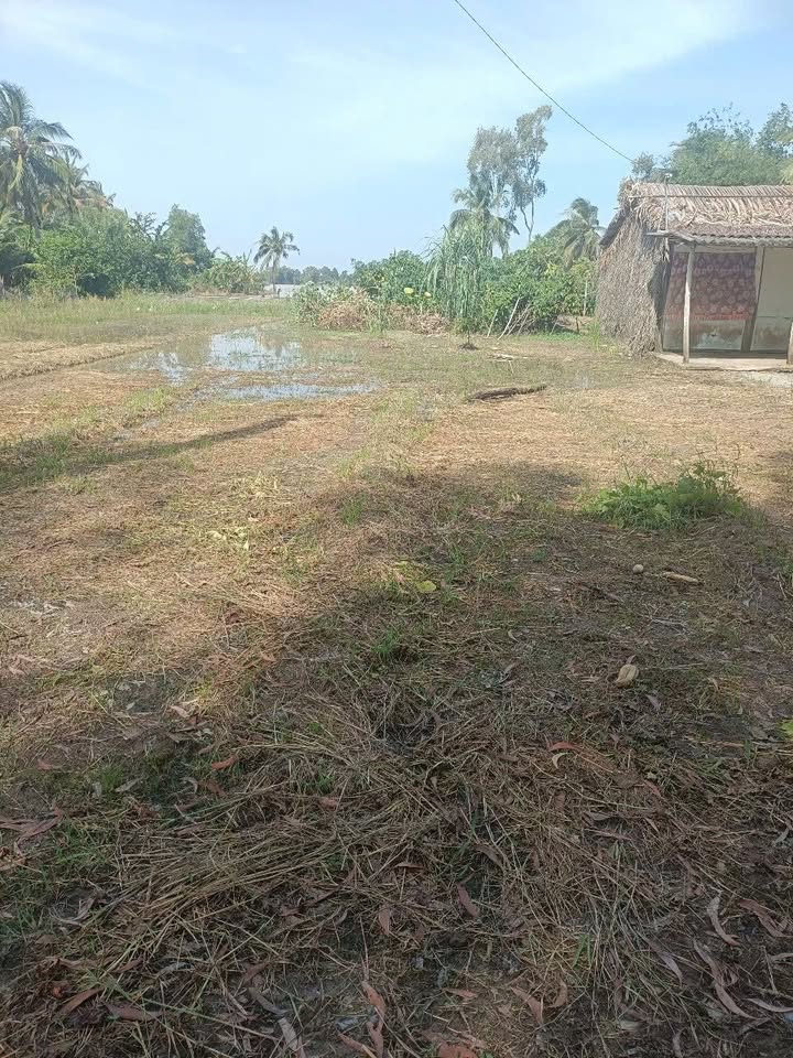 Đất nền Trần Văn Thời 400m² giá thỏa thuận - Cơ hội đầu tư hấp dẫn!